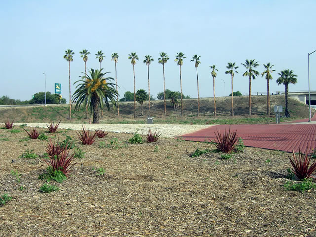 Caltrans Highway Planting and Irrigation 07-180004